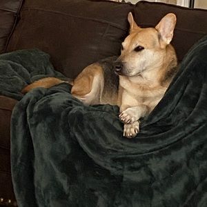 Meet your Posher, Laura